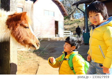 馬と触れ合う男の子 133827959
