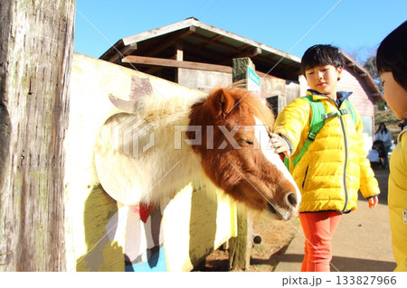 馬と触れ合う男の子 馬と触れ合う男の子 133827966