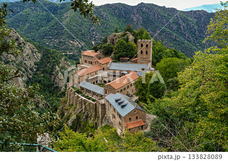 Abbey of Saint Martin du Canigou. Pyrenees-Orientales department in France, founded by monks of the Benedictine order Abbey of Saint Martin du Canigou. Pyrenees-Orientales department in France, founded by monks of the Benedictine order 133828089