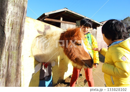 馬と触れ合う男の子 133828102