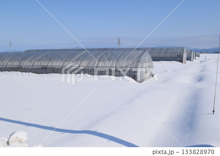 豪雪地方のビニールハウス 133828970