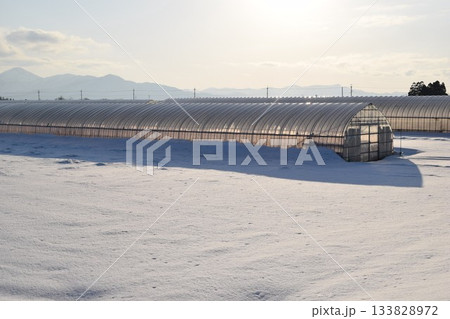 豪雪地方のビニールハウス 豪雪地方のビニールハウス 133828972