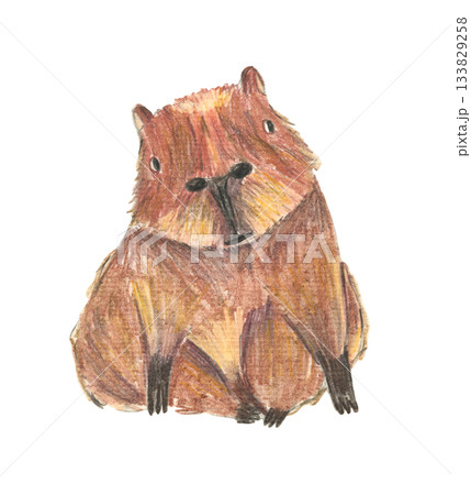 Cute color pencils drawing brown sitting capybara animal. Textured hand drawn cheerful rodent for birthday greeting card design, banner, sticker, holiday poster, t-shirt print 133829258