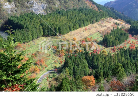 麓で色づく紅葉　稲村ダムの石切り場　（高知県　土佐町） 133829550