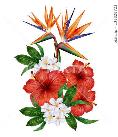 Tropical Watercolor Floral Bouquet Tropical Watercolor Floral Bouquet 133829723