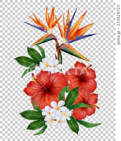 Tropical Watercolor Floral Bouquet 133829723