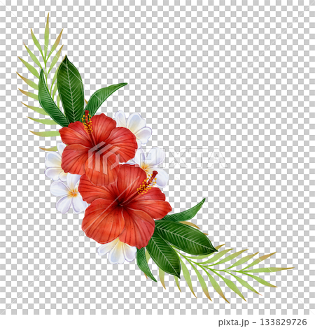 Hibiscus Tropical Corner Watercolor 133829726