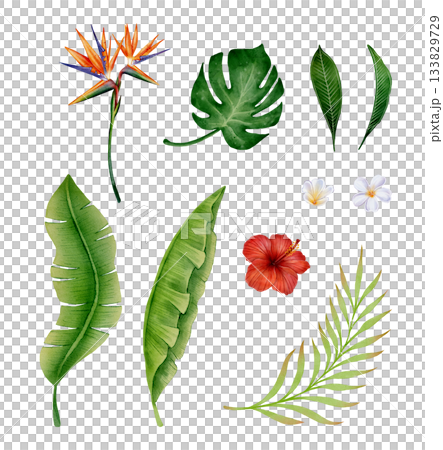Tropical Leaves and Flowers Watercolor Set 133829729