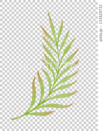 Palm Leaf Watercolor Botanical 133829732
