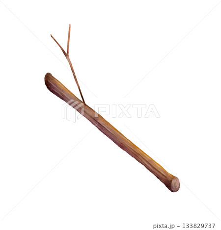 Wooden Stick Watercolor Illustration 133829737