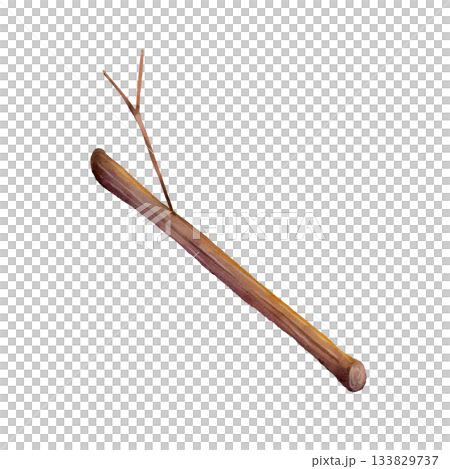 Wooden Stick Watercolor Illustration 133829737