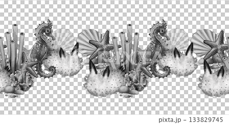 Seamless seahorse marine border Seamless seahorse marine border 133829745