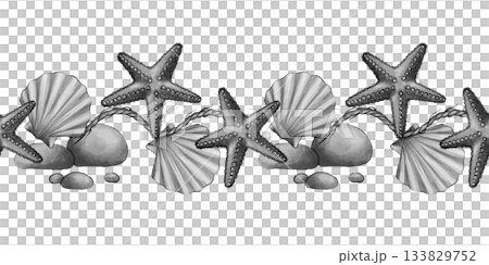 Seamless Starfish Shell Border 133829752