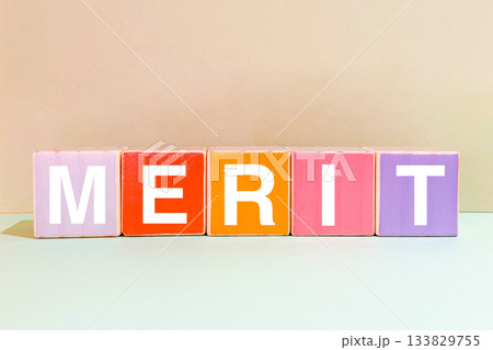 メリット MERIT メリット MERIT 133829755