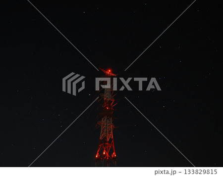 闇の中に輝く光（2025112903333641） 133829815