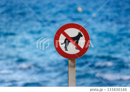 No dogs allowed sign near the seaside in Calpe, Spain, with blue ocean water in the background 133830188
