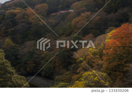 晩秋の箱根 箱根登山鉄道 出山信号場 晩秋の箱根 箱根登山鉄道 出山信号場 133830206