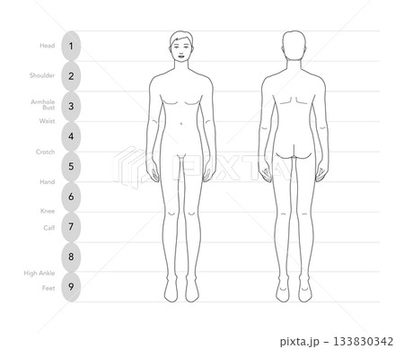 Vector illustration of a 9 head man, displaying multiple angles including front and back. Perfect for fashion sketches, 133830342