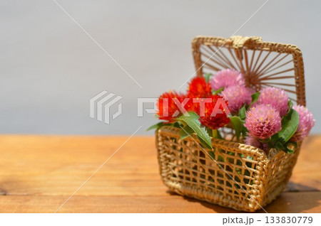 千日紅の花かごのアレンジメント 千日紅の花かごのアレンジメント 133830779