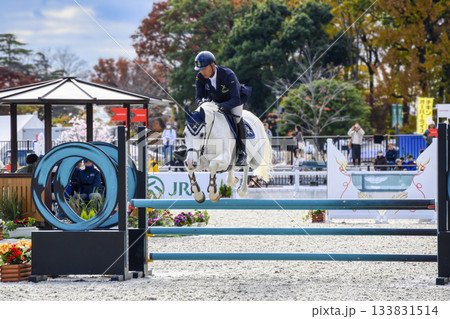 東京都世田谷区 馬事公苑 ジャパン ブリーディング 障害馬術 ホースショー 東京都世田谷区 馬事公苑 ジャパン ブリーディング 障害馬術 ホースショー 133831514