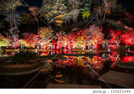 宮城県松島の紅葉 宮城県松島の紅葉 133831544