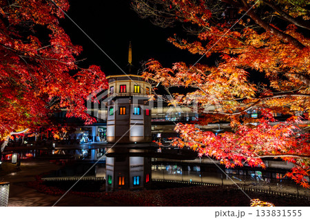宮城県松島の紅葉 宮城県松島の紅葉 133831555