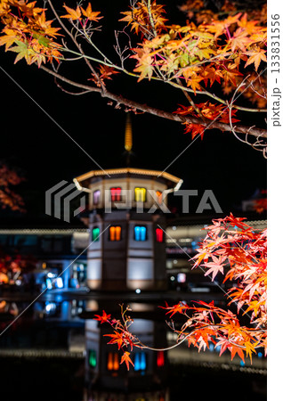 宮城県松島の紅葉 宮城県松島の紅葉 133831556