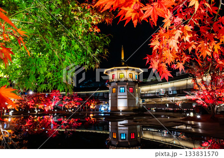 宮城県松島の紅葉 宮城県松島の紅葉 133831570