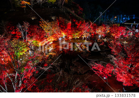 宮城県松島の紅葉 宮城県松島の紅葉 133831578