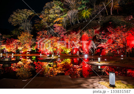 宮城県松島の紅葉 宮城県松島の紅葉 133831587