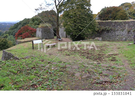 岡城 西の丸、中川民部屋敷跡付近から眺める近戸門跡方面の風景（大分県竹田市） 133831841