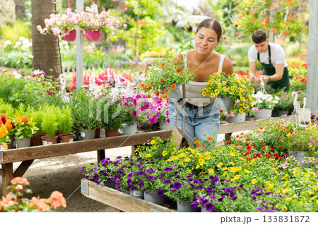 Girl choosing potted flowers calibrachoa (million bells) at flower sale at flower market sale Girl choosing potted flowers calibrachoa (million bells) at flower sale at flower market sale 133831872