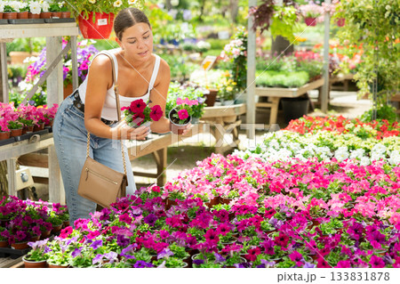 Girl choosing blooming Petunia in pots at local garden center 133831878