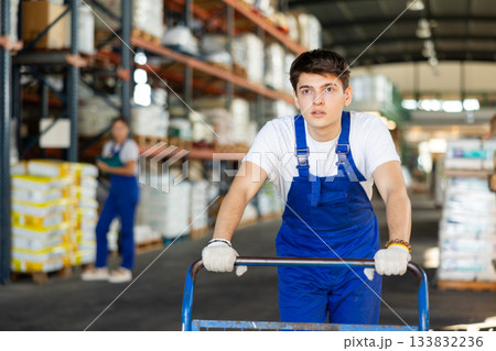 Young loader guy pushing cart in warehouse 133832236