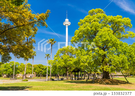 《香川県》青空の下の瀬戸大橋記念公園 133832377