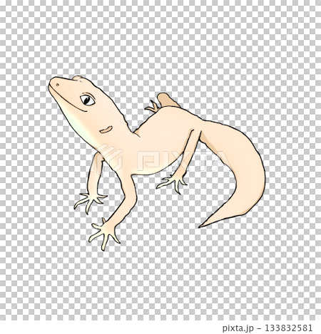 リアルで可愛いレオパのカラーイラスト。ヒョウモントカゲモドキ。 133832581