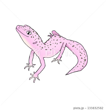 リアルで可愛いレオパのカラーイラスト。ヒョウモントカゲモドキ。 133832582