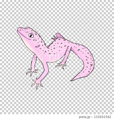 リアルで可愛いレオパのカラーイラスト。ヒョウモントカゲモドキ。 133832582