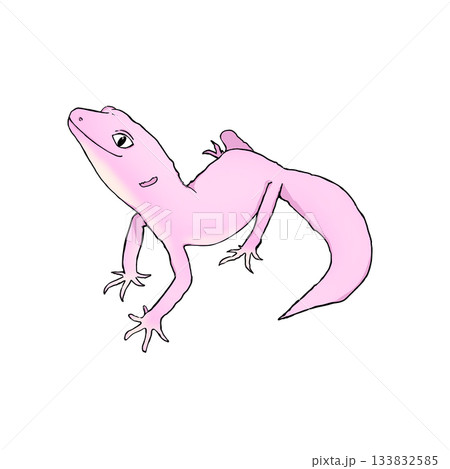 リアルで可愛いレオパのカラーイラスト。ヒョウモントカゲモドキ。 133832585