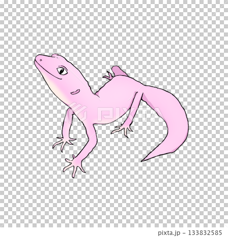 リアルで可愛いレオパのカラーイラスト。ヒョウモントカゲモドキ。 133832585