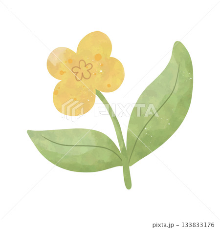 watercolor green tree on white background 133833176
