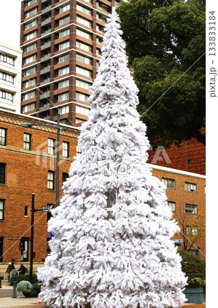 横浜公園のホワイトクリスマスツリー 133833184