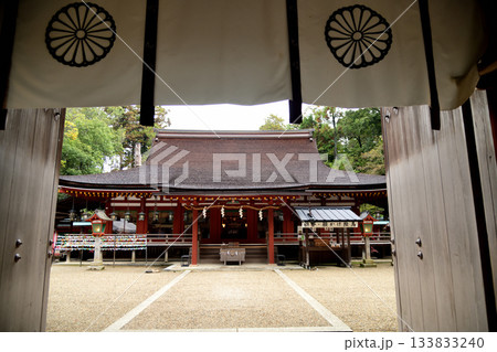 石上神宮(楼門から拝殿を望む) 【奈良県天理市】 石上神宮(楼門から拝殿を望む) 【奈良県天理市】 133833240