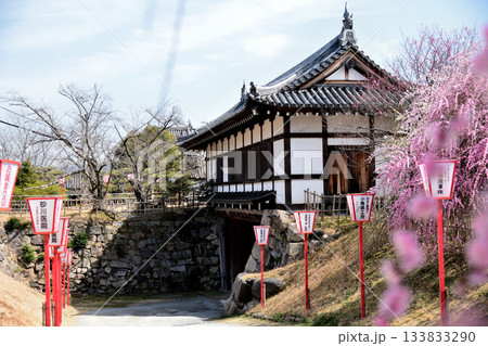 大和郡山城跡(追手門・しだれ梅) 　【奈良県大和郡山市】 133833290