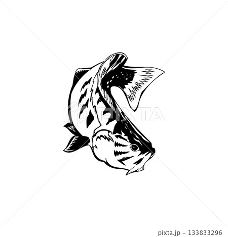 Leaping Fish vector Illustration Monochrome 133833296