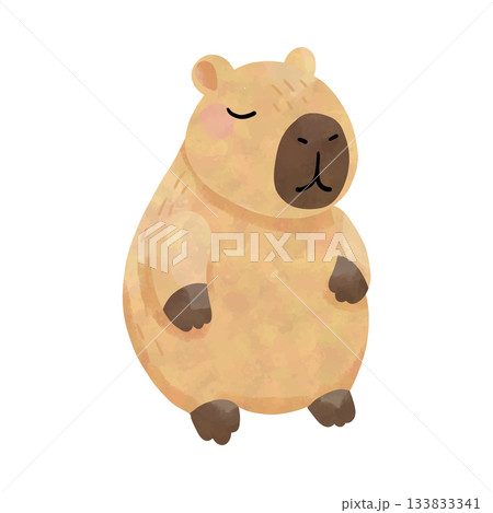 seamless pattern with capybara camping seamless pattern with capybara camping 133833341