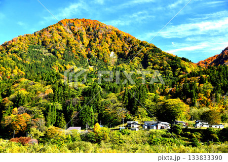 長野県小谷村北小谷李平周辺(長野県小谷村)【2025.11】 133833390