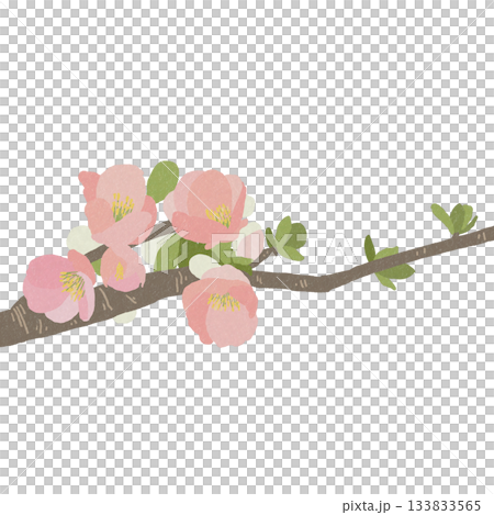 Blurred flowers 133833565