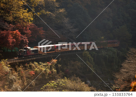 紅葉の保津峡を行く 133833764