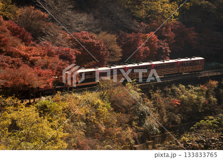 紅葉の保津峡を行く 紅葉の保津峡を行く 133833765